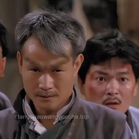 检查僵尸！细致工作的重要性及应用指南